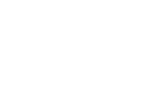 びびびの仕事
